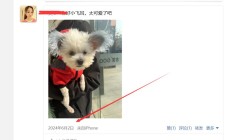 上海楼凤，身材不错的lf信息！