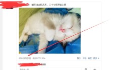 成都楼凤群，人气很高的qm！