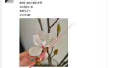 武汉性息，验证个偶尔兼职的上班族！