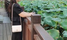 郑州lf，可以QT的良家兼职！