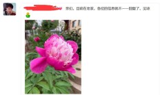 济南桑拿，验证个FW好的御姐！