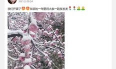 武汉qm，适合卸货的楼凤资源！