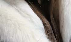 沈阳性息，身材不错的楼凤资源！