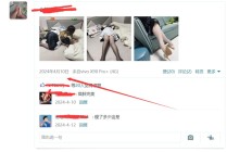 沈阳LF，可以3T和MS的良家！